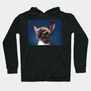 Siamese cat Hoodie